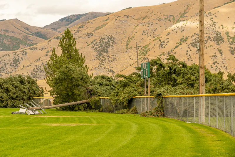 Tarp on the Field, Lines on the Move: What Actually Happens to Your Bet When the Sky Opens Up