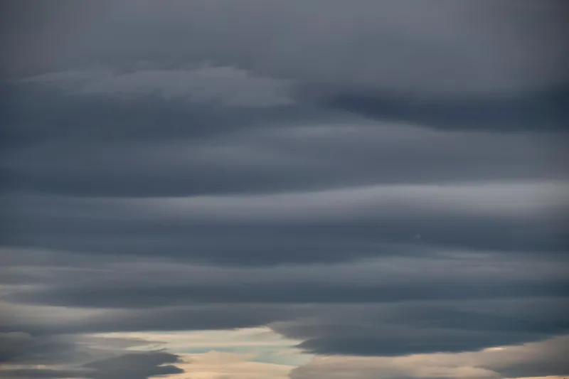 Wind Is Free Information: Why the Sharps Check the Forecast Before They Check the Odds