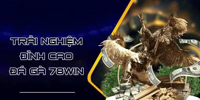 Đá gà casino 78win tích hợp tính năng phát trực tiếp